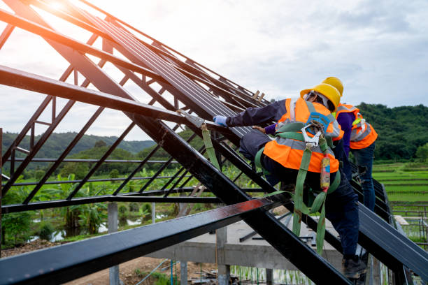Best Roof Leak Repair  in Liberty City, TX