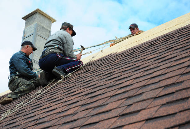 Best Metal Roofing Contractor  in Liberty City, TX