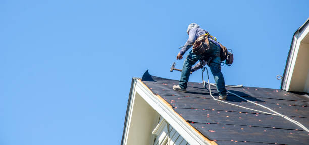 Best Commercial Roofing Services  in Liberty City, TX